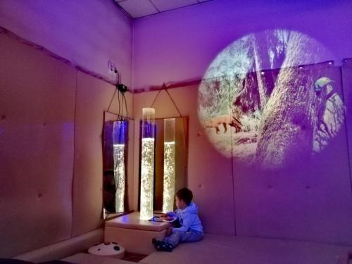 Сензорна соба